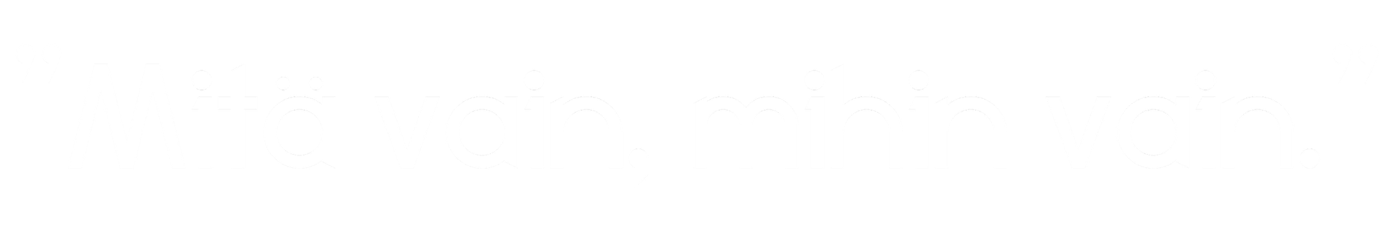 Suomen Ulkomainos